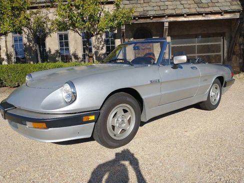 Used 1986 Alfa Romeo Spider Veloce image 78