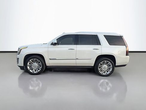Used 2019 Cadillac Escalade Platinum image 6