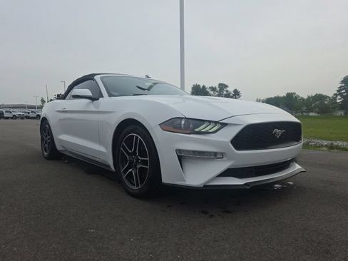 Used 2019 Ford Mustang Premium RWD image 1