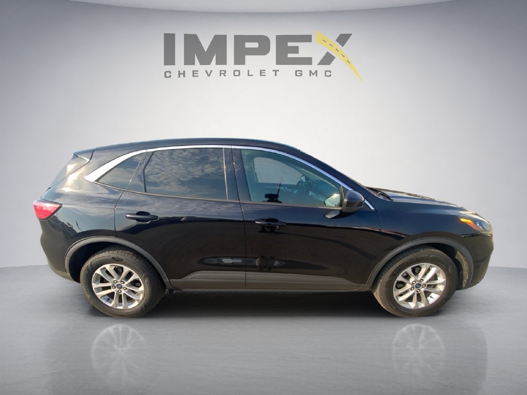 Used 2020 Ford Escape SE AWD/4WD image 6