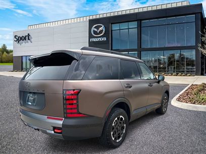 Used 2026 Hyundai Palisade XRT Pro