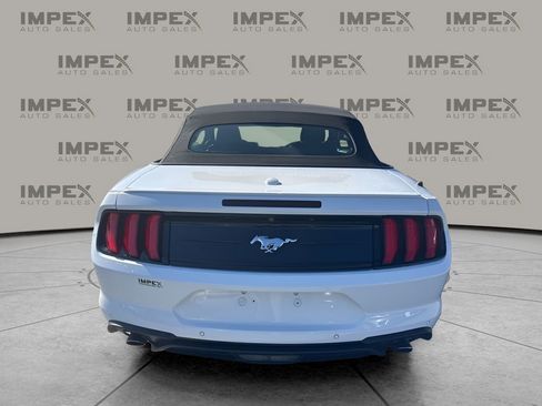 Used 2020 Ford Mustang Premium image 4