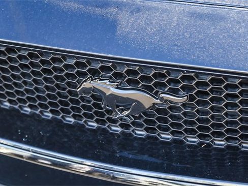 Used 2019 Ford Mustang GT w/ Equipment Group 301A image 4