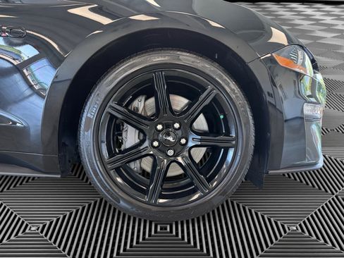 Used 2019 Ford Mustang GT Premium w/ Equipment Group 401A RWD image 10