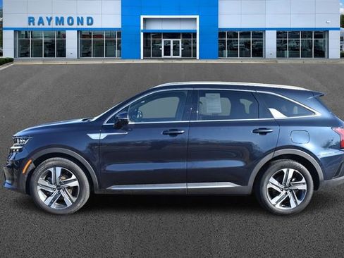 Certified 2024 Kia Sorento SX Prestige image 6
