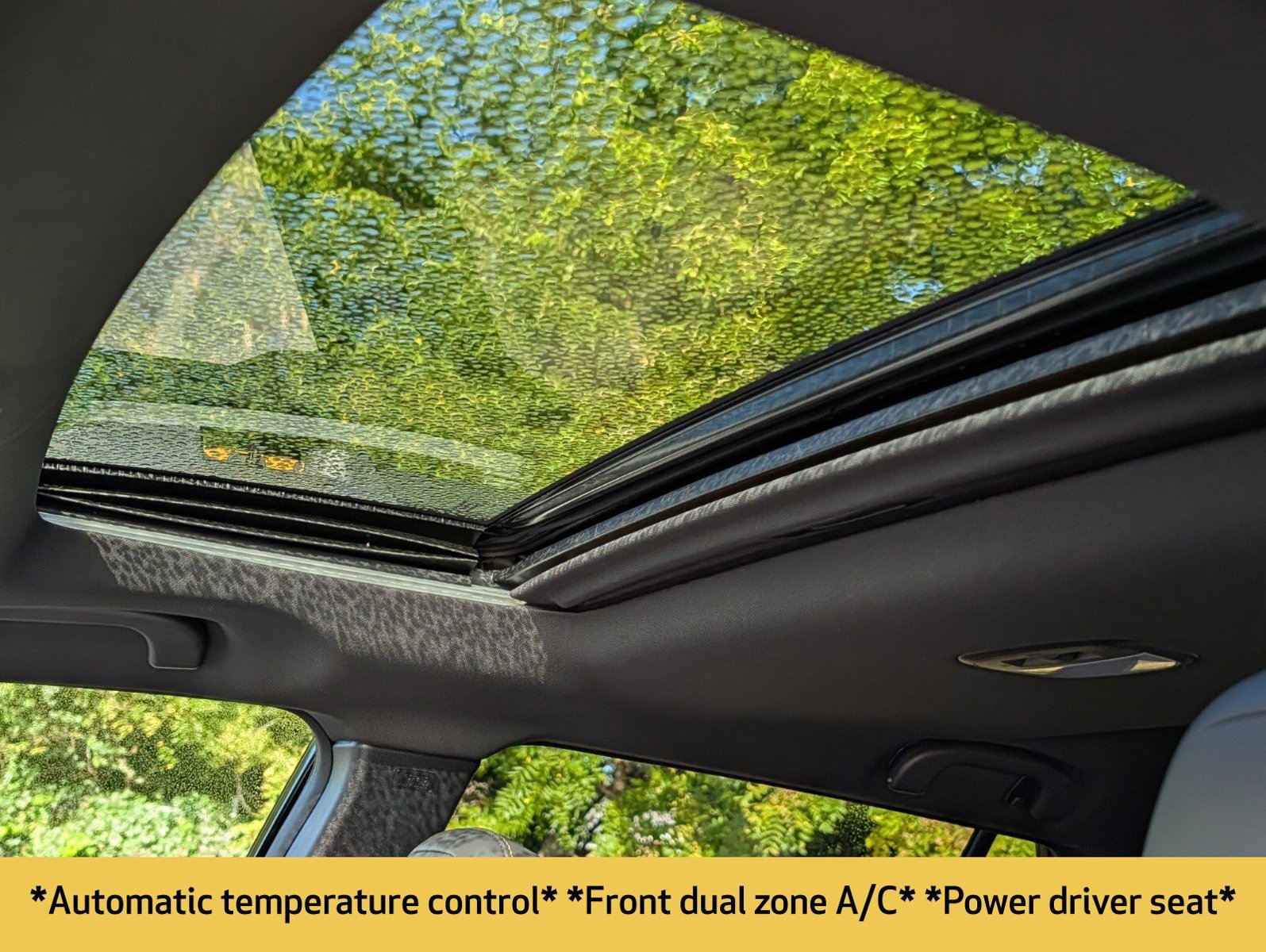 Used 2024 Subaru Outback Wilderness AWD/4WD image 5