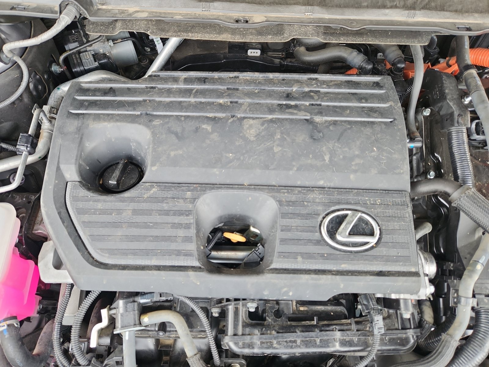 Used 2023 Lexus RX 350 w/ Cold Area Package AWD/4WD image 21