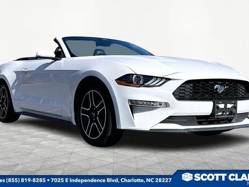 Used 2021 Ford Mustang Premium image 1