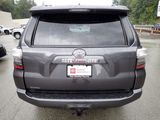 Certified 2022 Toyota 4Runner SR5 image 5