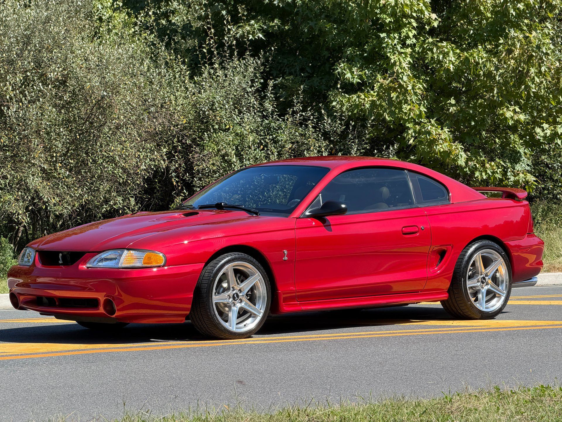 Used 1996 Ford Mustang Cobra RWD image 2