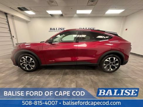 Used 2025 Ford Mustang Mach-E Select w/ Interior Protection Package AWD/4WD image 4