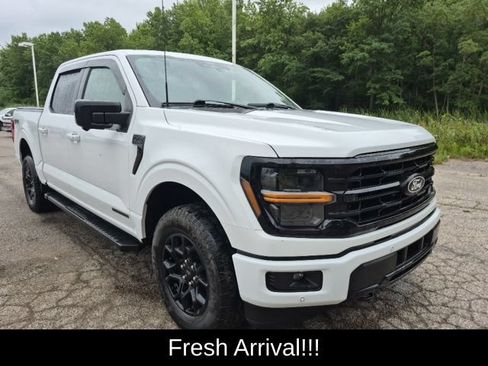 Used 2024 Ford F150 XLT w/ Equipment Group 302A MID AWD/4WD image 1