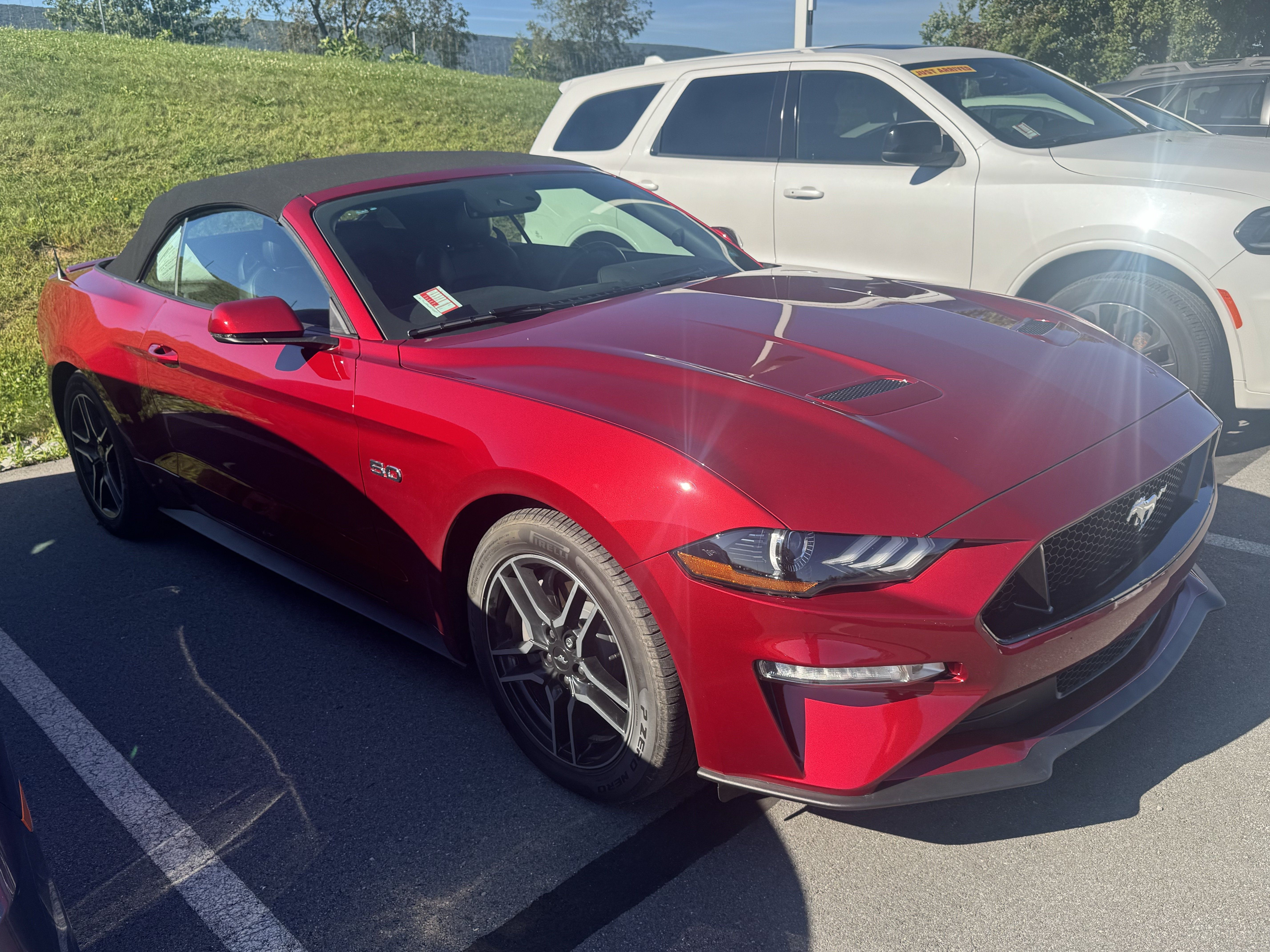 Used 2019 Ford Mustang GT Premium w/ Equipment Group 401A RWD image 1