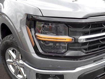 Used 2025 Ford F150 XLT w/ Equipment Group 301A Standard