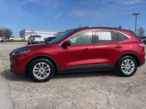 Used 2020 Ford Escape SE image 5