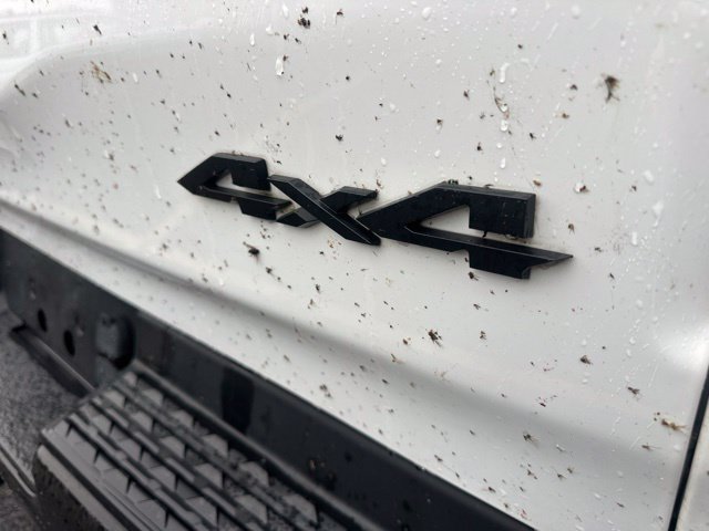 Used 2019 RAM 1500 Rebel AWD/4WD image 11