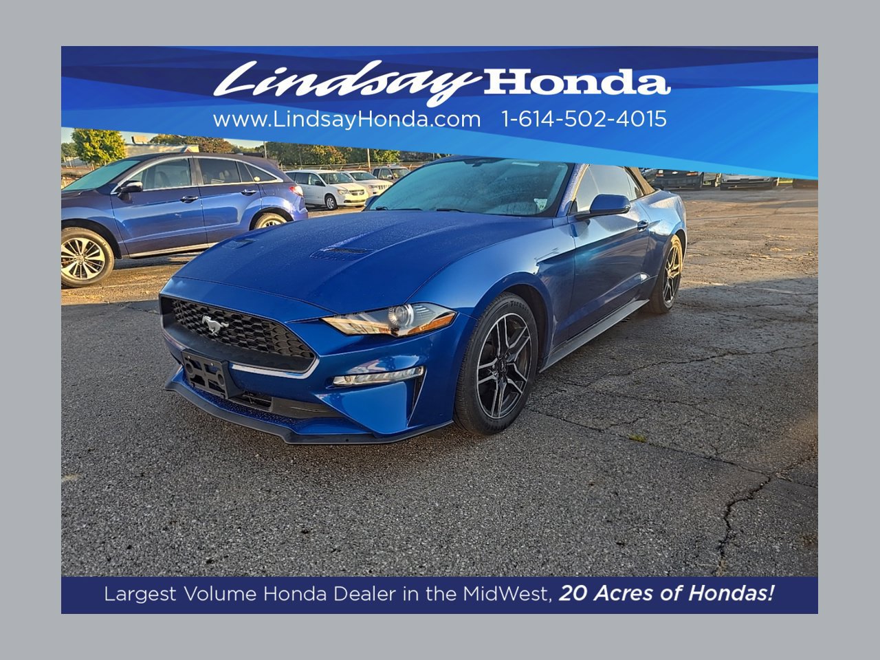 Used 2018 Ford Mustang Premium RWD image 1