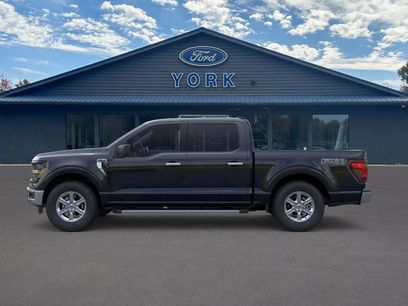 New 2025 Ford F150 XLT w/ Equipment Group 301A Standard