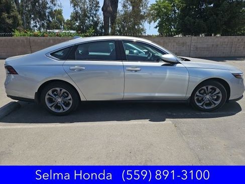 Certified 2024 Honda Accord EX image 3