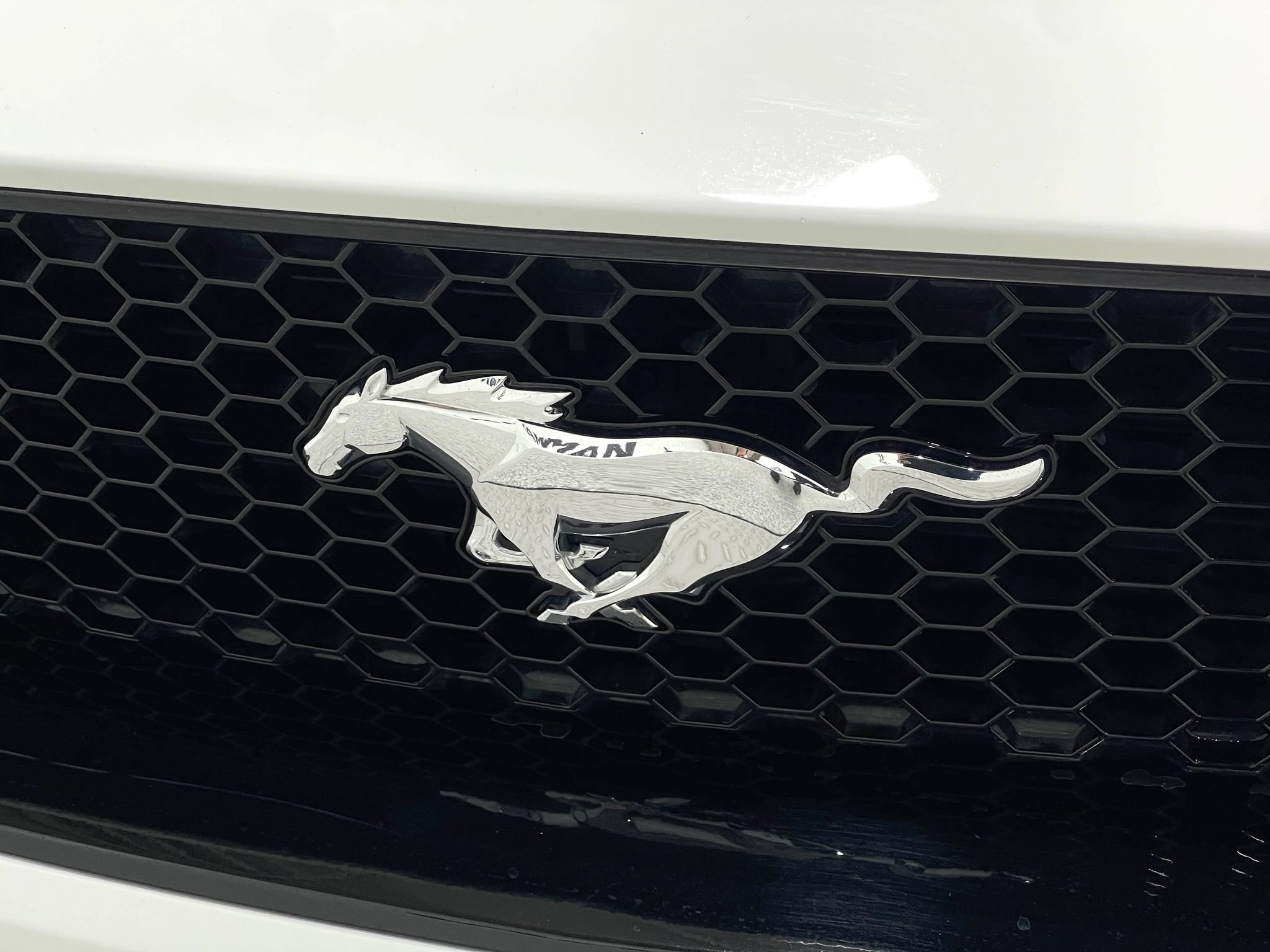Used 2019 Ford Mustang GT Premium w/ Equipment Group 401A RWD image 36