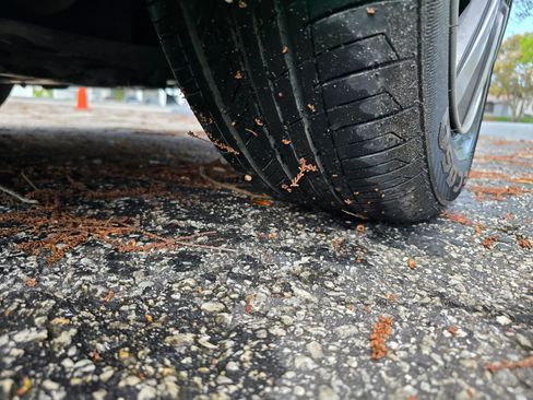 Used 2017 Hyundai Elantra SE image 24