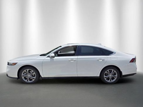 Used 2024 Honda Accord EX-L image 6