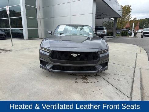 Certified 2024 Ford Mustang Premium RWD image 2