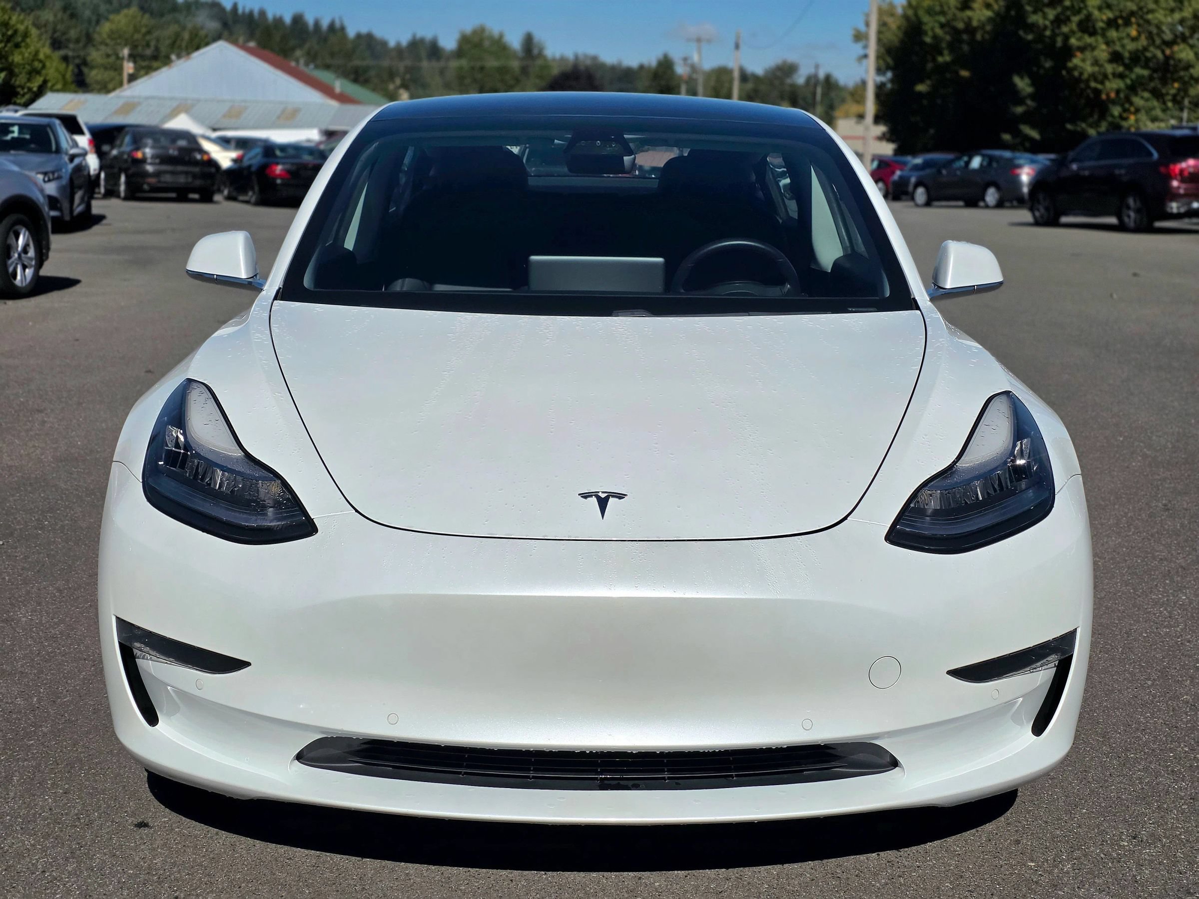 Used 2019 Tesla Model 3 Long Range AWD/4WD image 3
