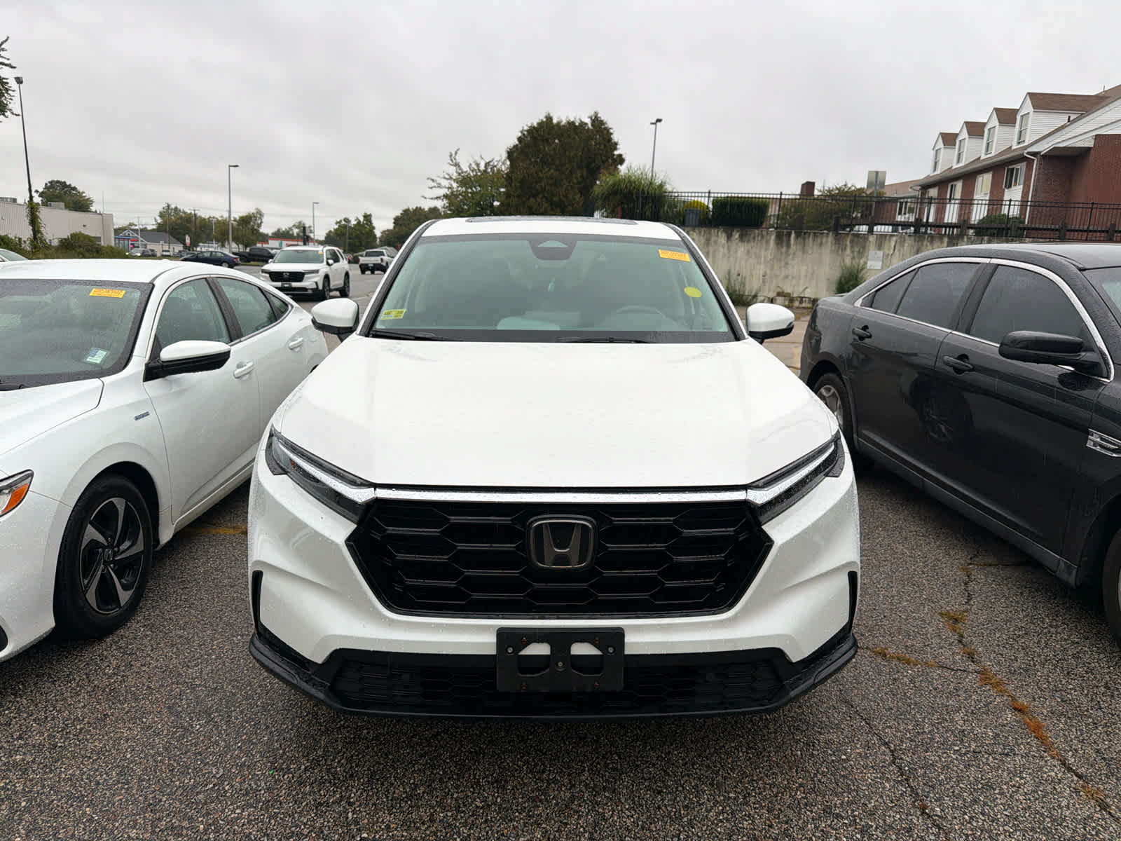 Used 2025 Honda CR-V EX-L image 5