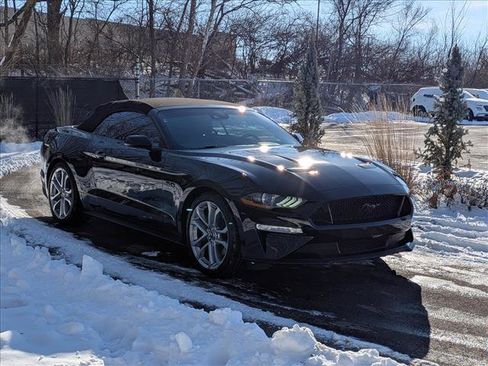 Used 2023 Ford Mustang GT Premium w/ Equipment Group 401A image 15