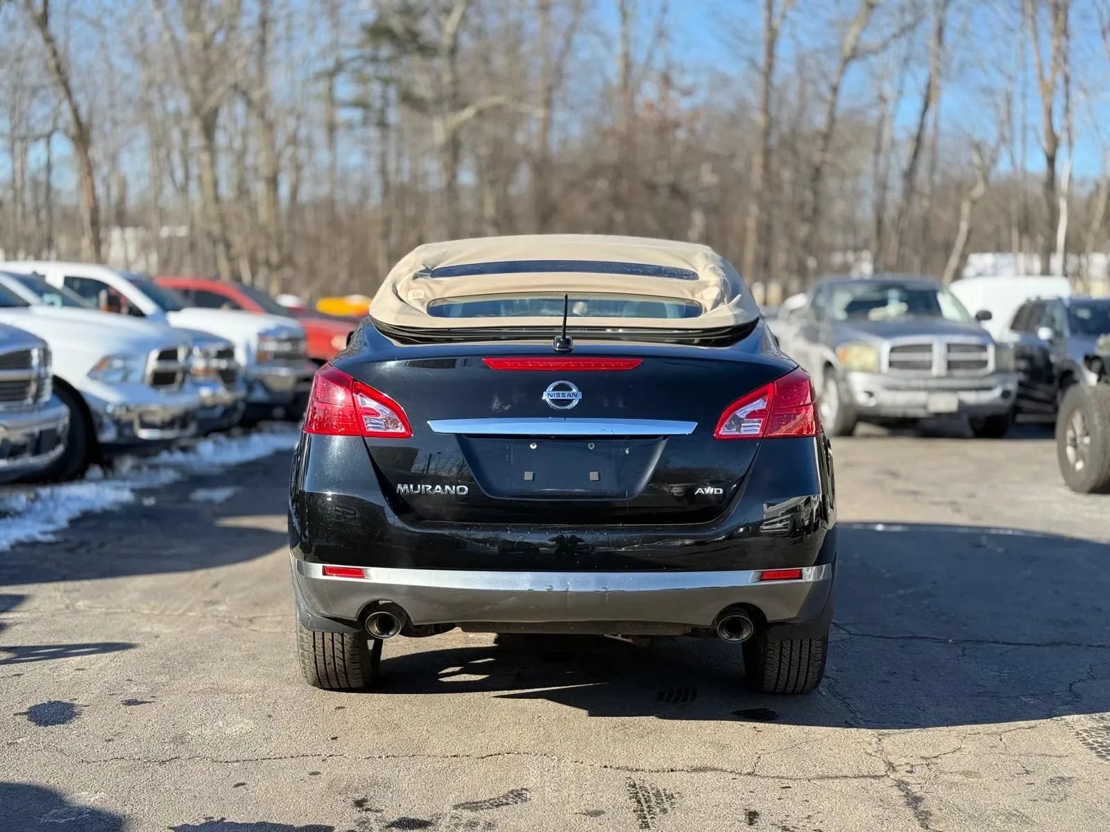 Used 2014 Nissan Murano CrossCabriolet w/ Navigation Package AWD/4WD image 5