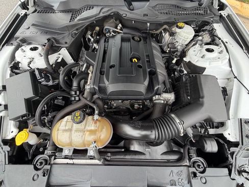 Used 2019 Ford Mustang Coupe w/ Equipment Group 101A RWD image 17