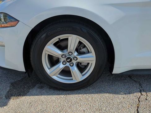 Used 2019 Ford Mustang Coupe RWD image 31