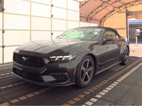 Used 2024 Ford Mustang Premium image 1