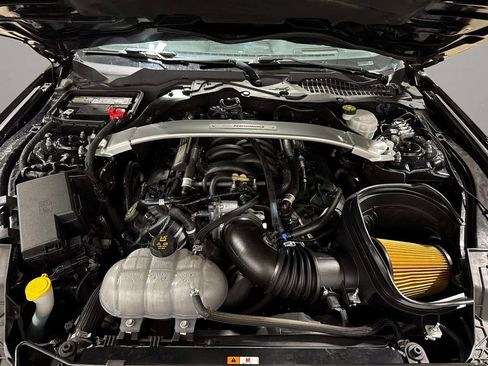 Used 2019 Ford Mustang Shelby GT350 w/ Technology Package image 29