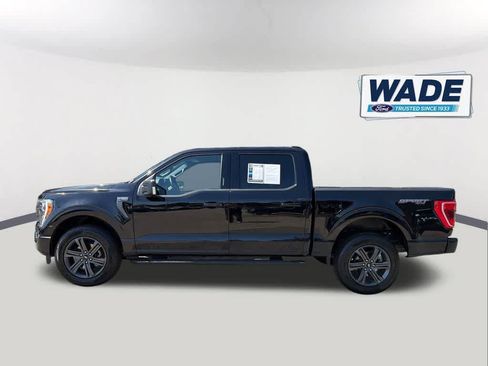Used 2023 Ford F150 XLT w/ Equipment Group 302A High AWD/4WD image 8