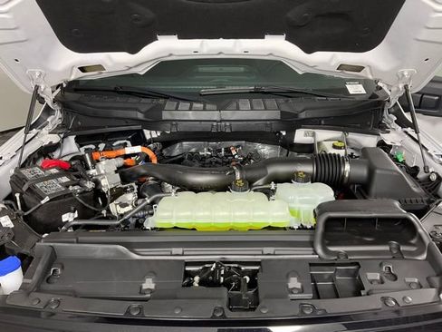 New 2025 Ford F150 XLT w/ Equipment Group 302A MID image 9