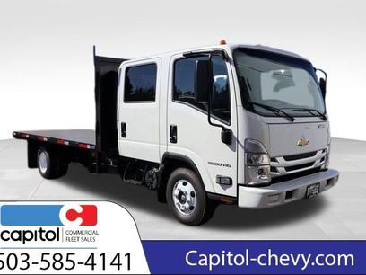 New 2025 Chevrolet Low Cab Forward
