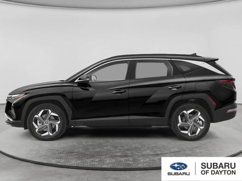 Used 2024 Hyundai Tucson Limited AWD/4WD image 3
