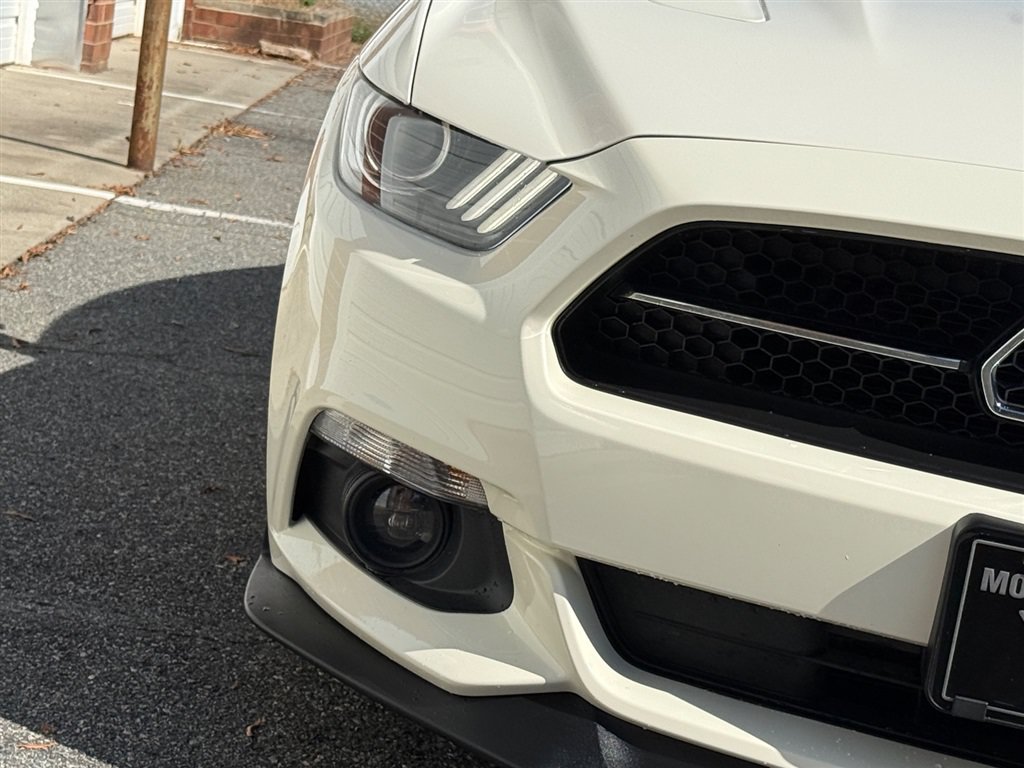 Used 2015 Ford Mustang 50 Years RWD image 11