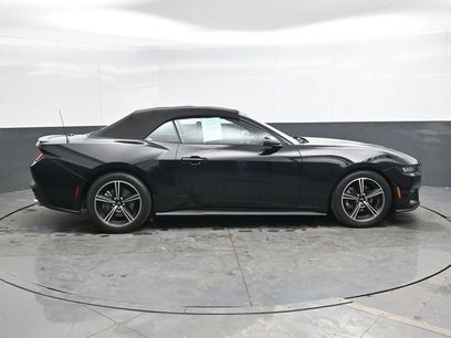 Used 2025 Ford Mustang Premium