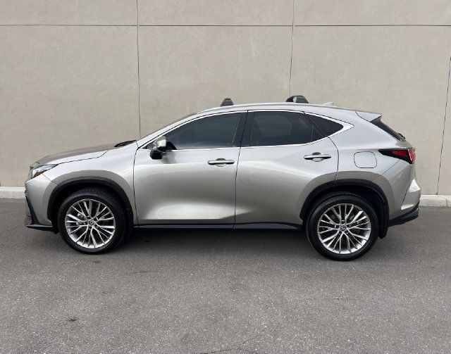 Used 2025 Lexus NX 350h AWD w/ Cold Area Package image 4