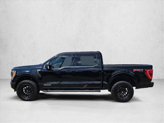 Used 2023 Ford F150 XLT w/ Equipment Group 302A High AWD/4WD image 9