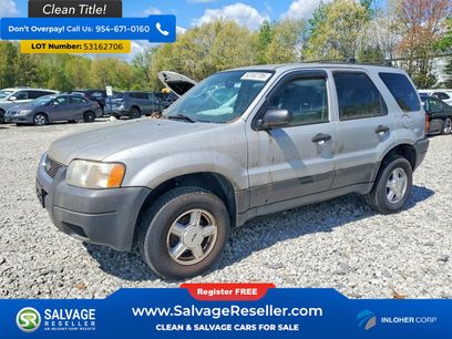 Used 2003 Ford Escape XLT