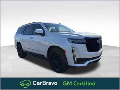 Used 2023 Cadillac Escalade Sport w/ LPO, ONYX Package