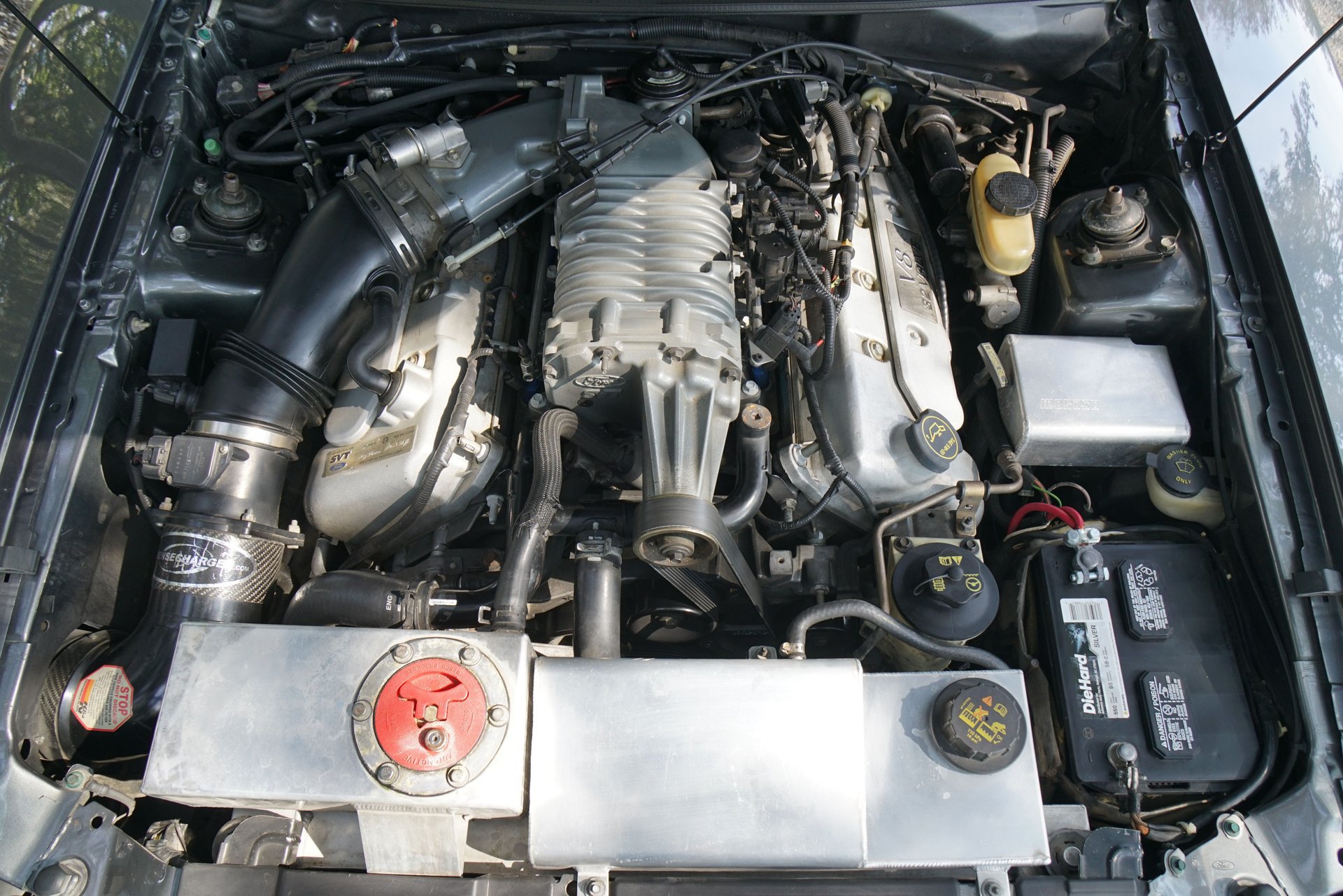 Used 2003 Ford Mustang Cobra RWD image 19