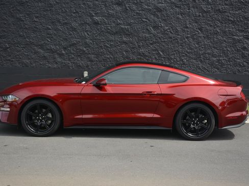 Used 2019 Ford Mustang Premium w/ Ford Safe & Smart Package RWD image 2
