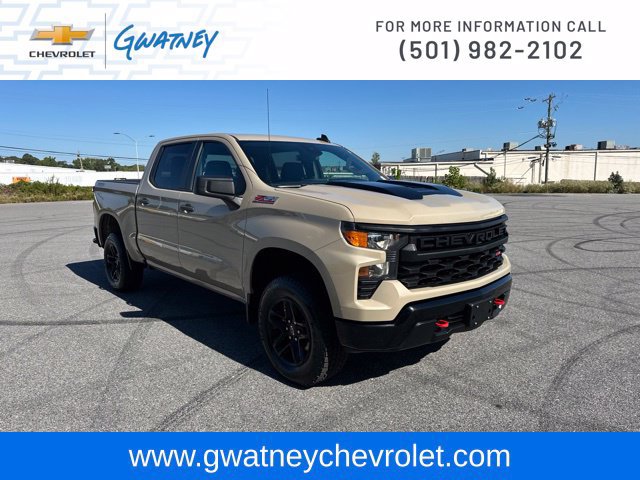Used 2022 Chevrolet Silverado 1500 Custom Trail Boss AWD/4WD image 3