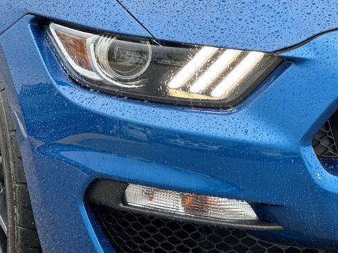 Used 2017 Ford Mustang Shelby GT350 image 10