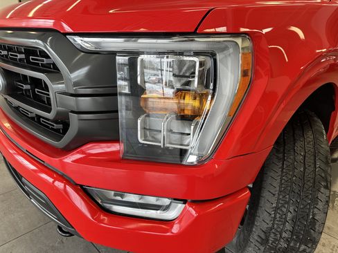 Used 2023 Ford F150 XLT w/ Equipment Group 302A High image 21